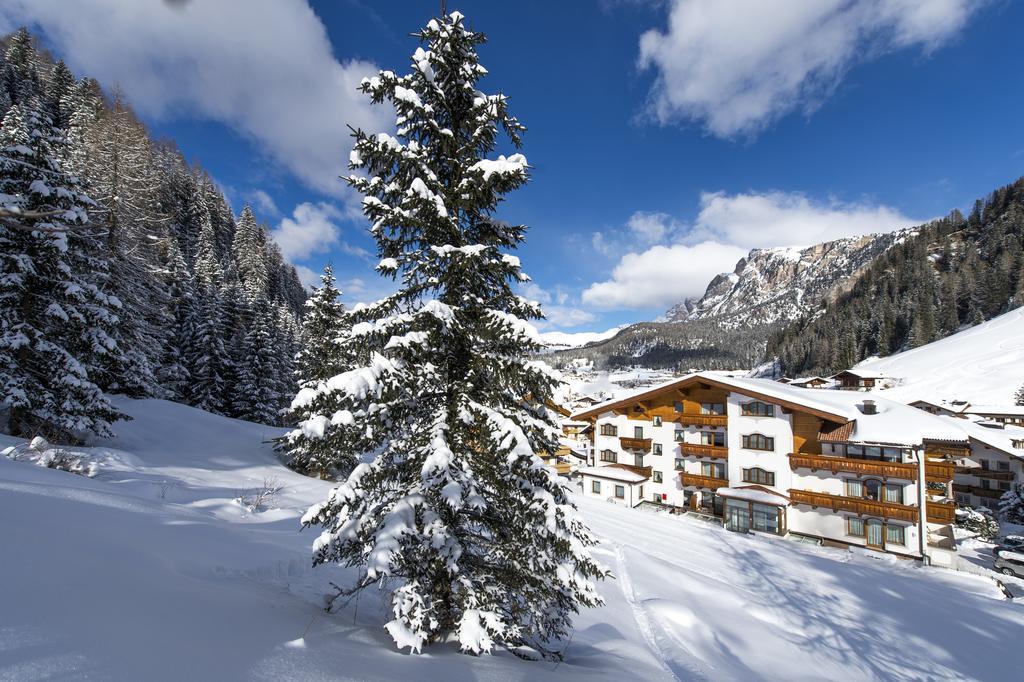 Savoy Dolomites Luxury & Spa Hotel เซลวาดีวัลการ์เดนา ภายนอก รูปภาพ